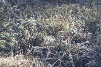 /album/thalerkogel-12-november-2024/thalerkogel-12-11-2024-19-jpg/